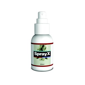 Avis Spray X : faut-il le tester ?