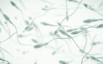 Sperme épais ou gélatineux : explication, causes et solutions