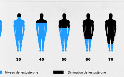 Comment connaitre son taux de testostérone : mesure et dose optimale pour cette hormone