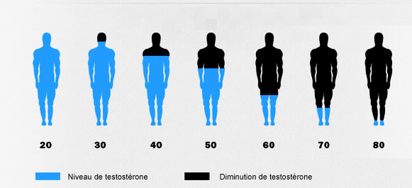 comment connaitre sin taux de testostérone