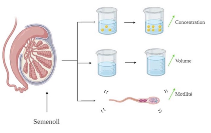 Effet de semenoll