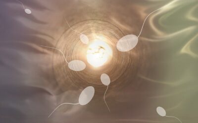 Sperme transparent : causes, conséquences et traitement d’un sperme translucide
